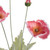 Set of Six 25" Red And Green Artificial Flowering