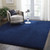8' X 10' Blue Shag Area Rug