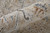 7' X 10' Ivory Taupe and Blue Abstract Power Loom Worn Faded Area Rug With Fringe