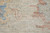 4' X 6' Tan Brown and Blue Floral Hand Woven Distressed Area Rug With Fringe