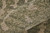 5' X 8' Green And Tan Abstract Area Rug