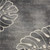 9' X 13' Ivory Black and Gray Botanical Leaves Non Skid Area Rug
