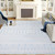 Geometric Distressed Washable Area Rug