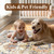 Medallion Washable Area Rug