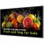 43" Commercial 24/7 Display