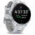 Forerunner 965 Titanium Wht
