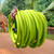 Flexzilla® Garden Hose 3/4" x 100' 3/4" - 11 1/2 GHT Fittings ZillaGreen®