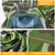 6Pcs Summer Neck Gaiter UV Sunscreen Protection Face Mask 