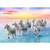 Jigsaw Puzzles - "500" - Galloping white horses / 500 px