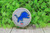 Lions Football Circle Badge/ID Holder Reel