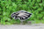 Philadelphia Eagles Badge Reel