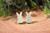 Pastel Green Peeps Stud Earrings