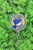 St. Louis Blues Hockey Circle Badge/ID Holder Reel