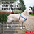 Waterproof Dog Harness L Size Adjustable Dog Harness for Large and Medium Dogs Heavy Duty Dog Harness with Durable Metal Clasp and QR Dog Tag Boy & Gi