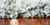 4' X 6' Ivory And Blue Area Rug
