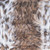 20" X 12" X 5" Acrylic Plush Polyester Polyfill Lynx 2 Pack Pillow
