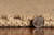 5' X 8' Natural Chevron Hand Woven Area Rug