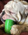 Can Toy eDispenser Durable Rubber Chew Toy & Treat Dispenser 