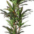 Artificial Dracaena In Cylindrical Black Cement Pot
