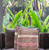 Set of Two Pink Striped Cotton Throw Pillow With Fringe