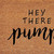 Fall Hey There Pumpkin Outdoor Coir Door Mat