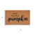 Fall Hey There Pumpkin Outdoor Coir Door Mat