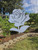 Rose Flexible Vinyl Screen Magnets