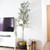 Set Of Two Trees in a Black Pot