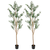 Set Of Two Trees in a Black Pot