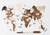 24" X 39" Brown and Beige Wood World Map Hanging Dimensional Sculpture