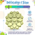 Mandala Softie eTray Shallow Slow Feeder Dog Bowl with Suction Cups