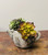 Cement Rustic Teapot Succulent Planter