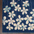 9' X 12' Navy Blue and Ivory Floral Area Rug