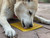 Honeycomb eMat - Enrichment Lick Mat for Dogs and Cats