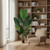 Set of Two Artificial Banana Leaf In Cylindrical Black Cement Pot