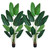 Set of Two Artificial Banana Leaf In Cylindrical Black Cement Pot