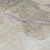 8' Taupe And Lavender Round Abstract Washable Indoor Outdoor Area Rug