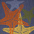 5' X 8' Blue Yellow And Orange Starfish Indoor Outdoor Area Rug