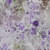 3' X 5' Purple Lavender And Artichoke Green Floral Washable Indoor Outdoor Area Rug