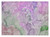 2' X 3' Purple Abstract Washable Non Skid Indoor Outdoor Area Rug