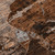 9' X 12' Brown Terracotta and Gray Floral Washable Non Skid Indoor Outdoor Area Rug