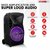 12 inch PA Portable Bluetooth Party Speaker Karaoke Boombox + 2 Wireless Mics
