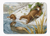 Animal Art Machine Washable Memory Foam Mat - 638508631343
