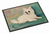 Dog Breed Themed Indoor or Outdoor Mat - 638508060846