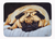 Dog Art Machine Washable Memory Foam Mat - 638508630636