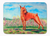 Dog Art Machine Washable Memory Foam Mat - 638508626691