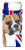 English Union Jack British Flag Design with Dog Ultra Hugger for slim cans - 615872822041