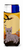 Halloween Cat Ultra Hugger for slim cans - 638508602275