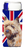 Dog with English Union Jack British Flag Ultra Hugger for slim cans - 615872826728