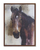 Horse Canvas 23.75"L x 31.5"H Canvas/Wood - 746427821674